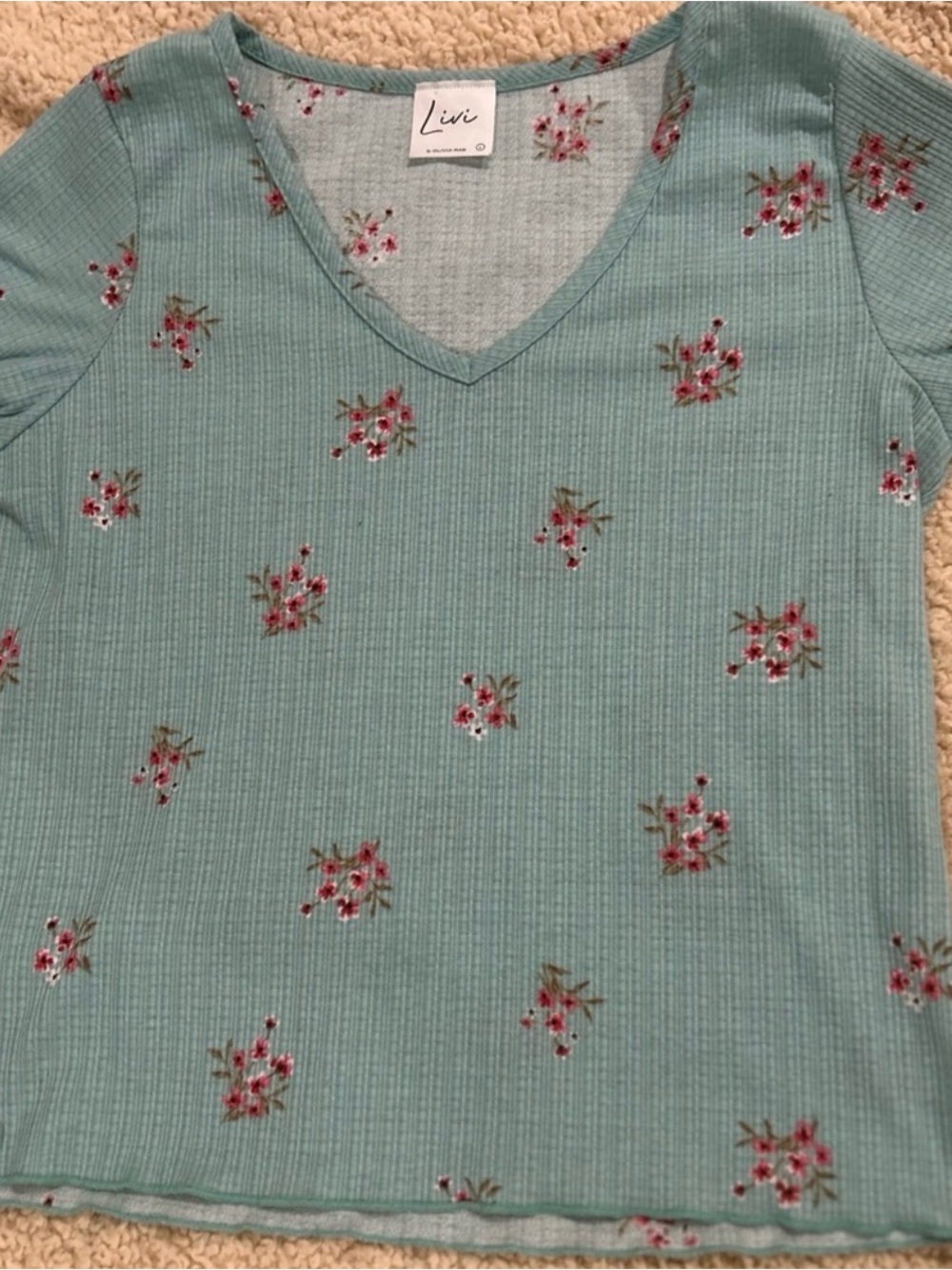 Livi Mint Ribbed V‑Neck Tee with Red Floral Print